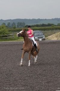 ISIS Dressage Challenge 2008